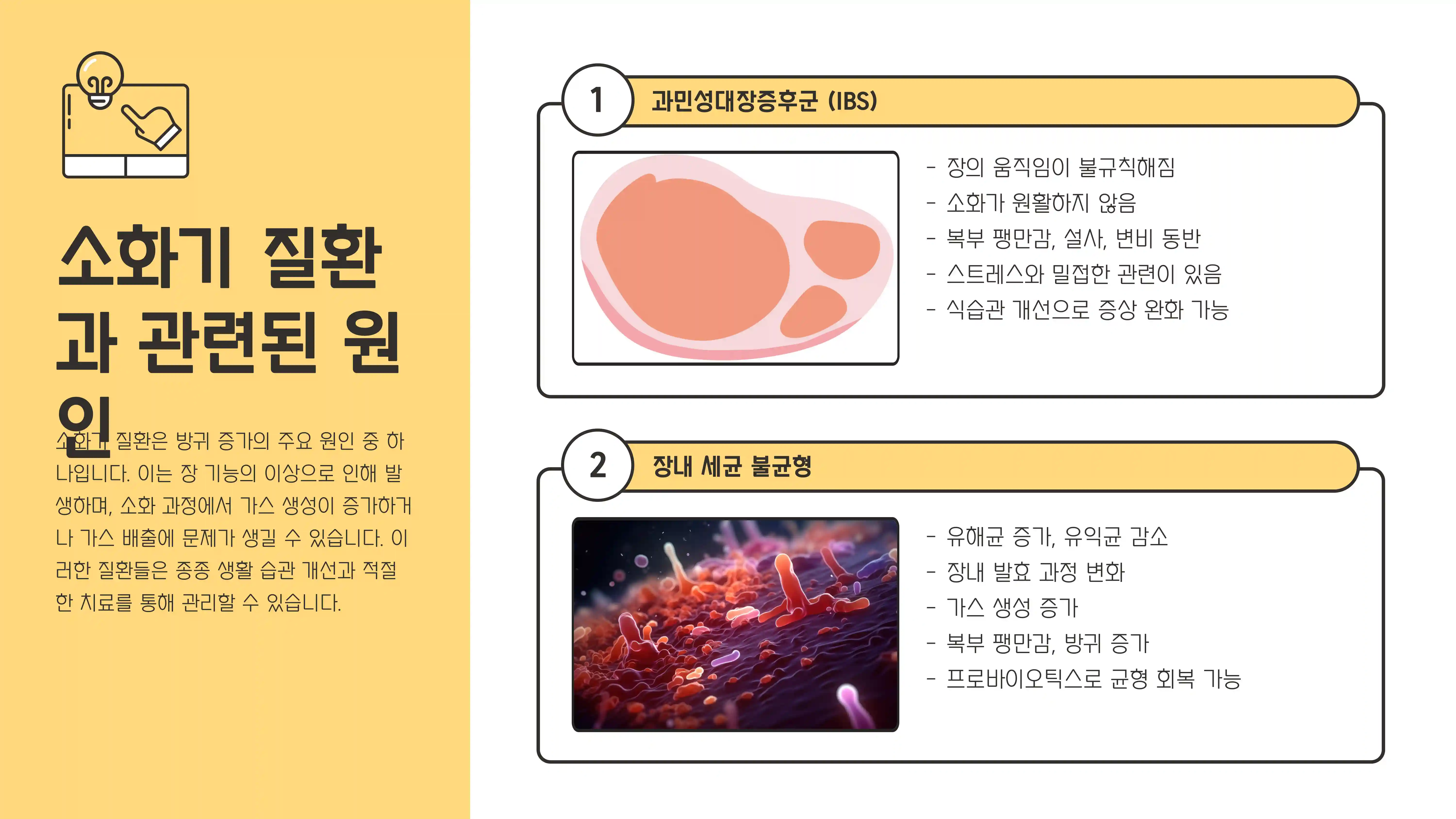 방귀가 많이 나오는 이유