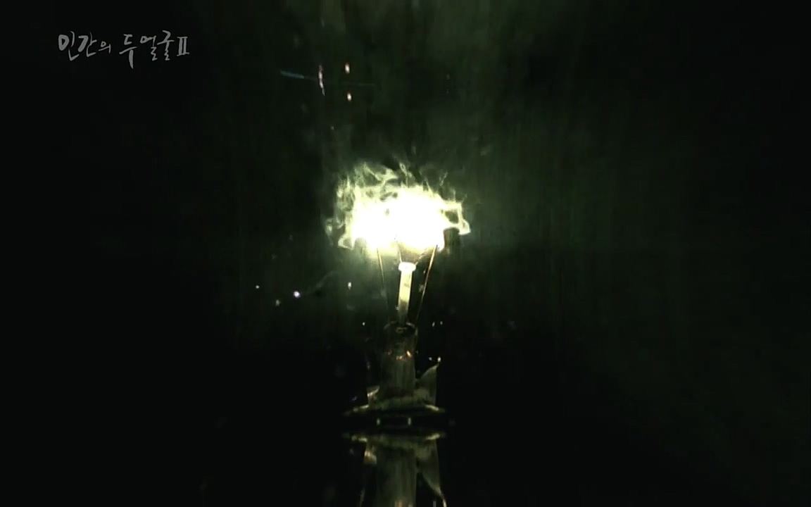 EBS 다큐프라임 - Docuprime, 인간의 두 얼굴2 제2부 아름다운 세상.mp4_20220608_205920.367.jpg