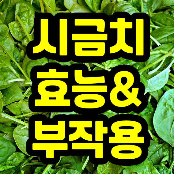  시금치 영양성분 / 영양소 A to Z
