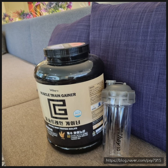 살찌는 프로틴으로 관리해요 7