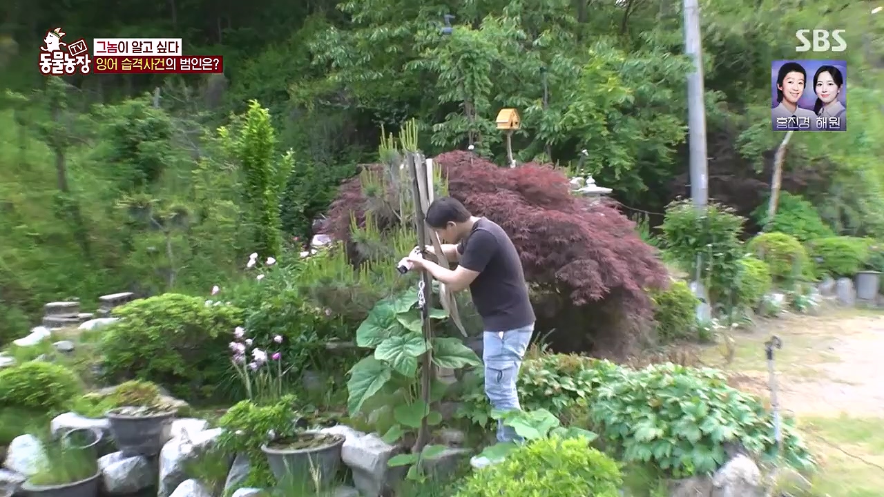 TV 동물농장.E1178.240630.ts_20240630_164646.748.jpg