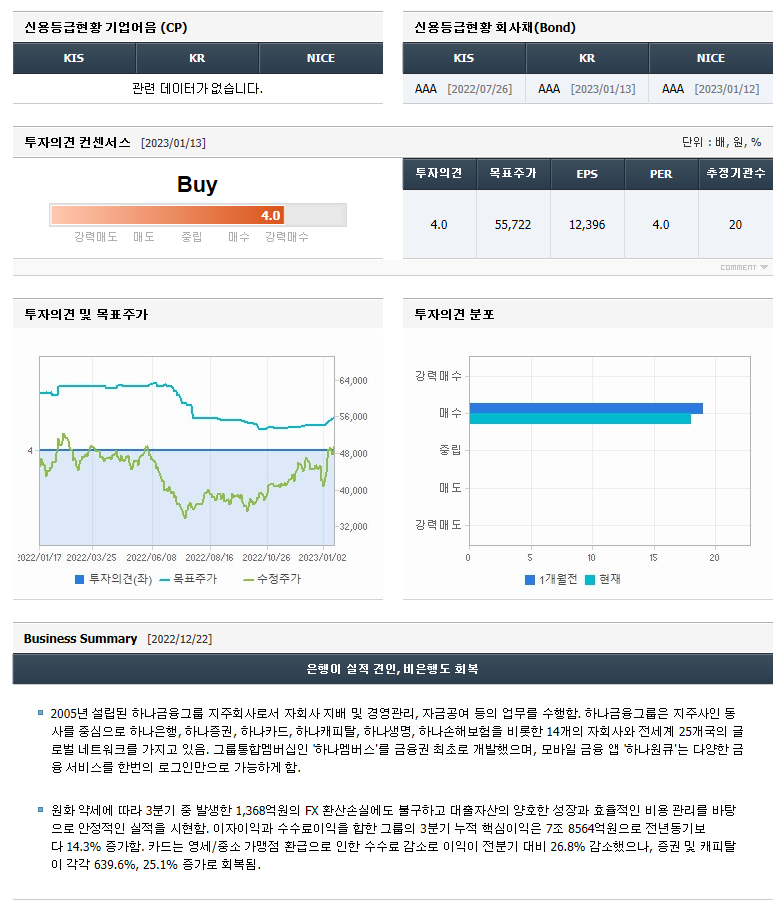 하나금융지주 기업정보