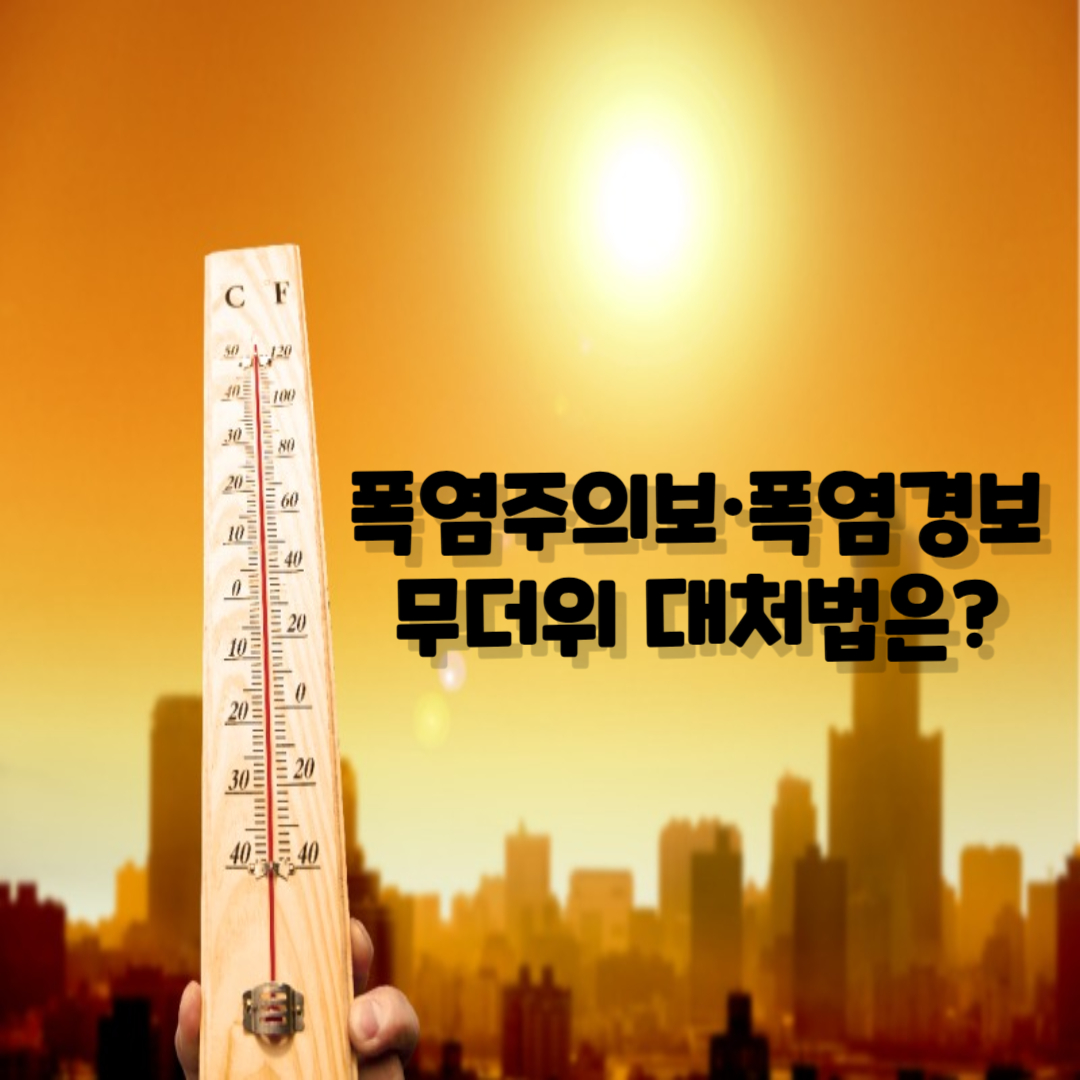  기상 이변! 폭염 주의보·폭염 경보·폭염 언제까지 그리고 대처 방법