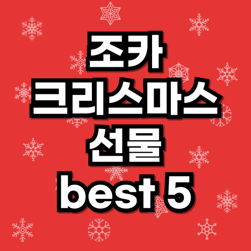 조카 크리스마스 선물