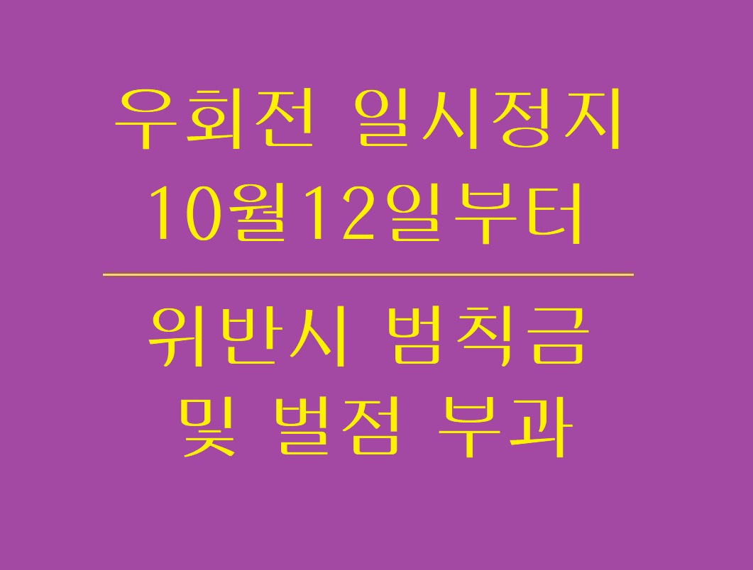 우회전_일시정지_계도기간_종료