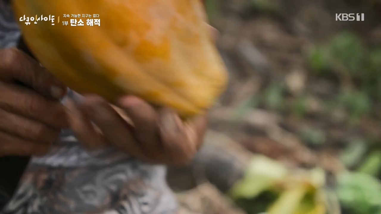 다큐 인사이트.E177.240112p-NEXT.mp4_20240113_155845.444.jpg