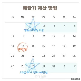 생리전 생리후 임신가능성 배란일 확인_19