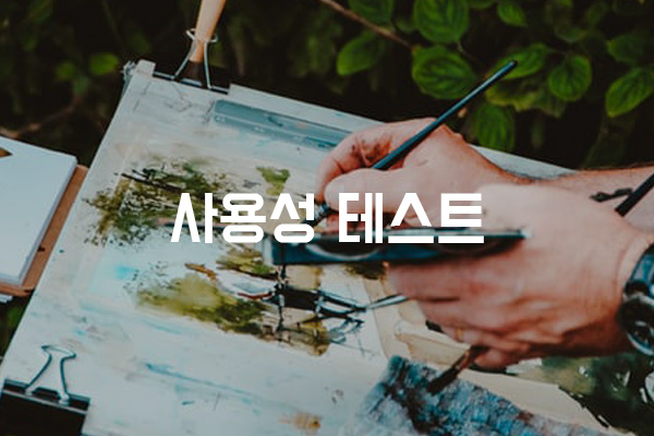  사용성 테스트