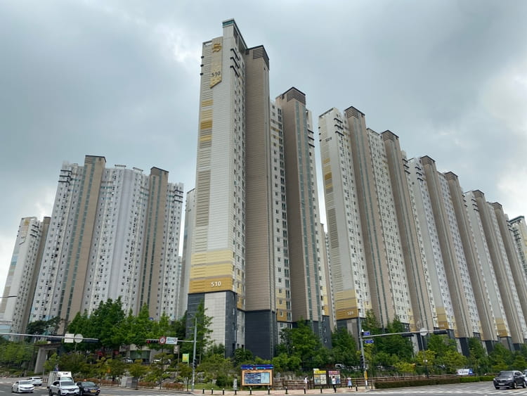 단지집 사진 4