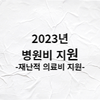  2023년 재난적 의료비 지원