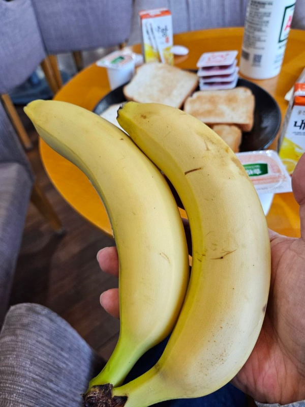 아침 바나나