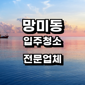 부산 수영구 망미동 입주청소