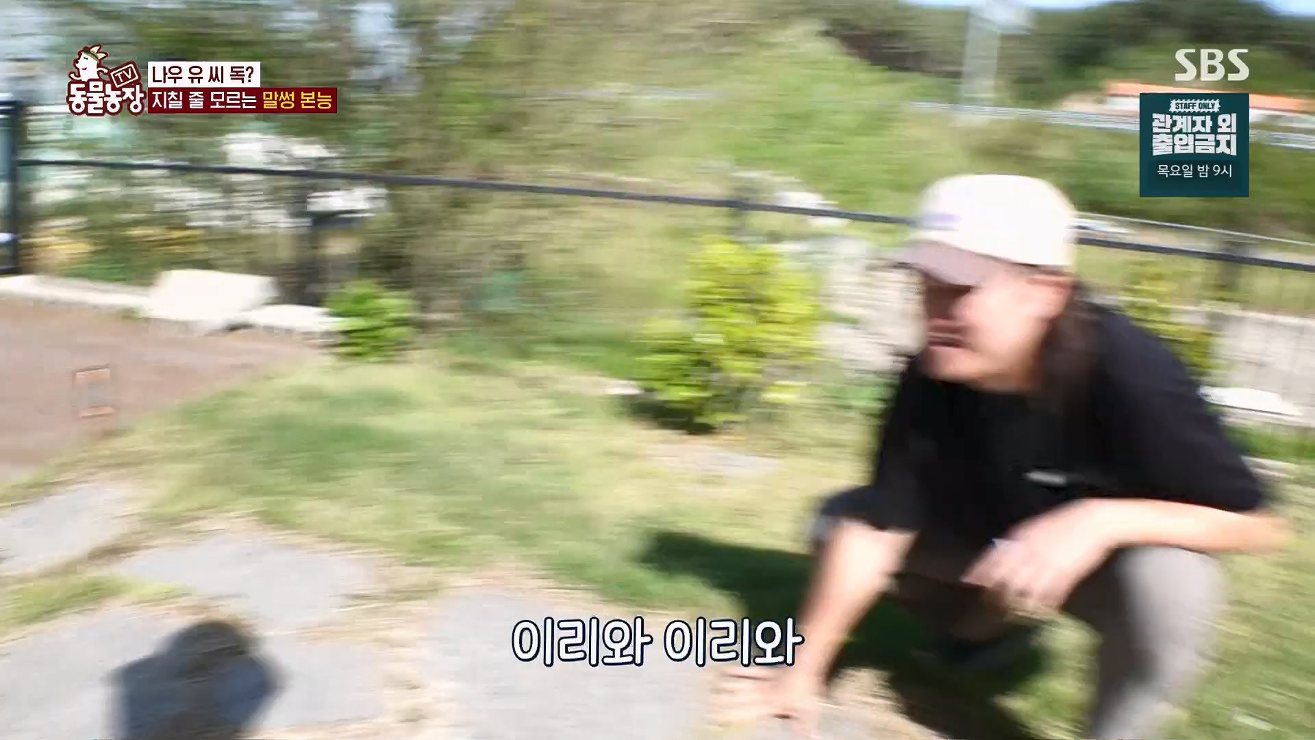 TV 동물농장.E1123.230604p.H264-F1RST.mp4_20230604_173257.371.jpg