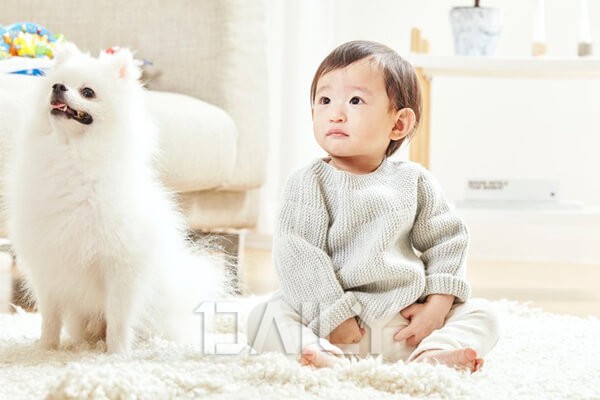 아기(아이)와 반려동물(강아지/고양이) 함께 지내도 될까?