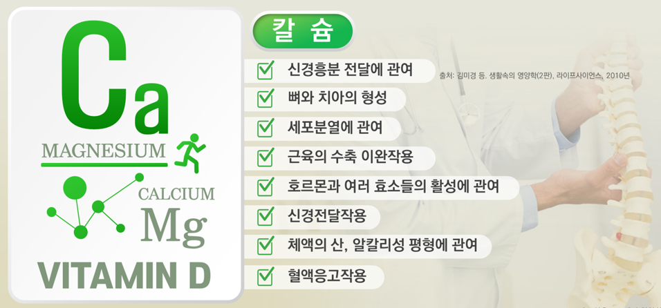 뼈의 모든 것 - 칼슘과 비타민D