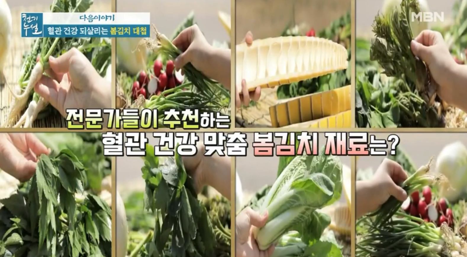  혈관건강지키는법봄김치 방울무(래디시)효능과 방울무물김치국수말이 레시피 죽순김치두릅김치 천기누설혈관건강되살리는봄김치로혈관을되살려라 관절건강 참당귀분말효능465회 0507