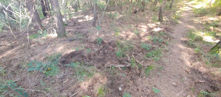 제진검문소 - 통일전망대 출입신고소 해파랑길 50코스 : 14