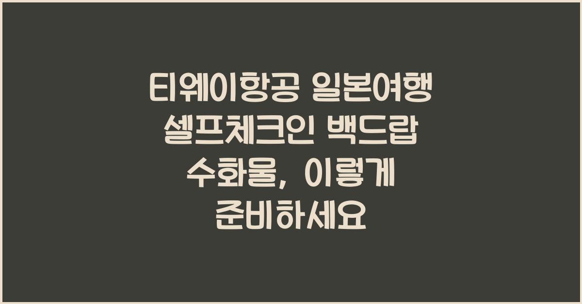 티웨이항공 일본여행 셀프체크인 백드랍 수화물