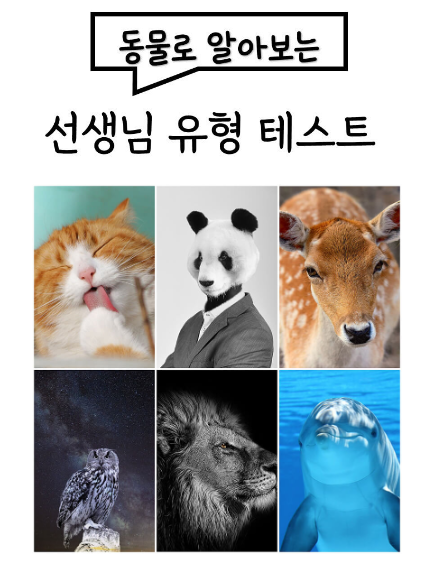 동물로 알아보는 선생님 유형 테스트 시작페이지 화면