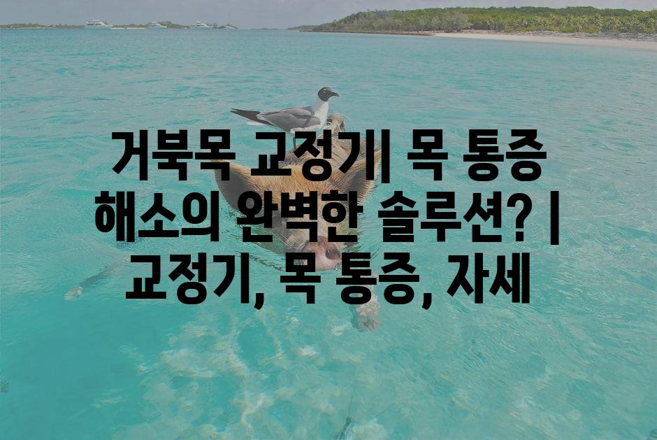 샘플 (1)