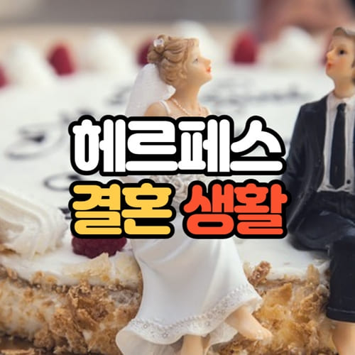 헤르페스 결혼생활