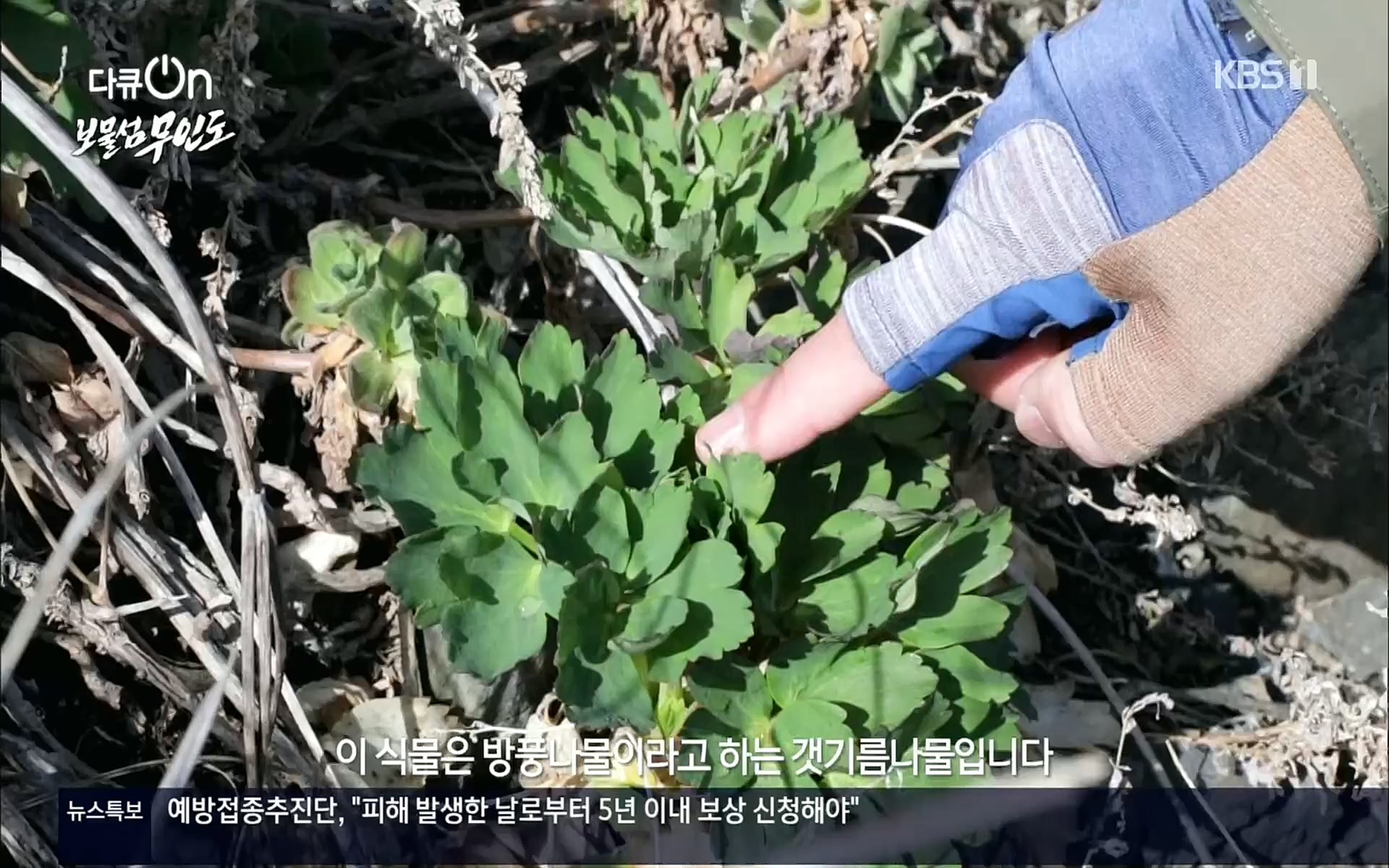 다큐 On.E141p.H264-F1RST.mp4_20220530_202711.479.jpg