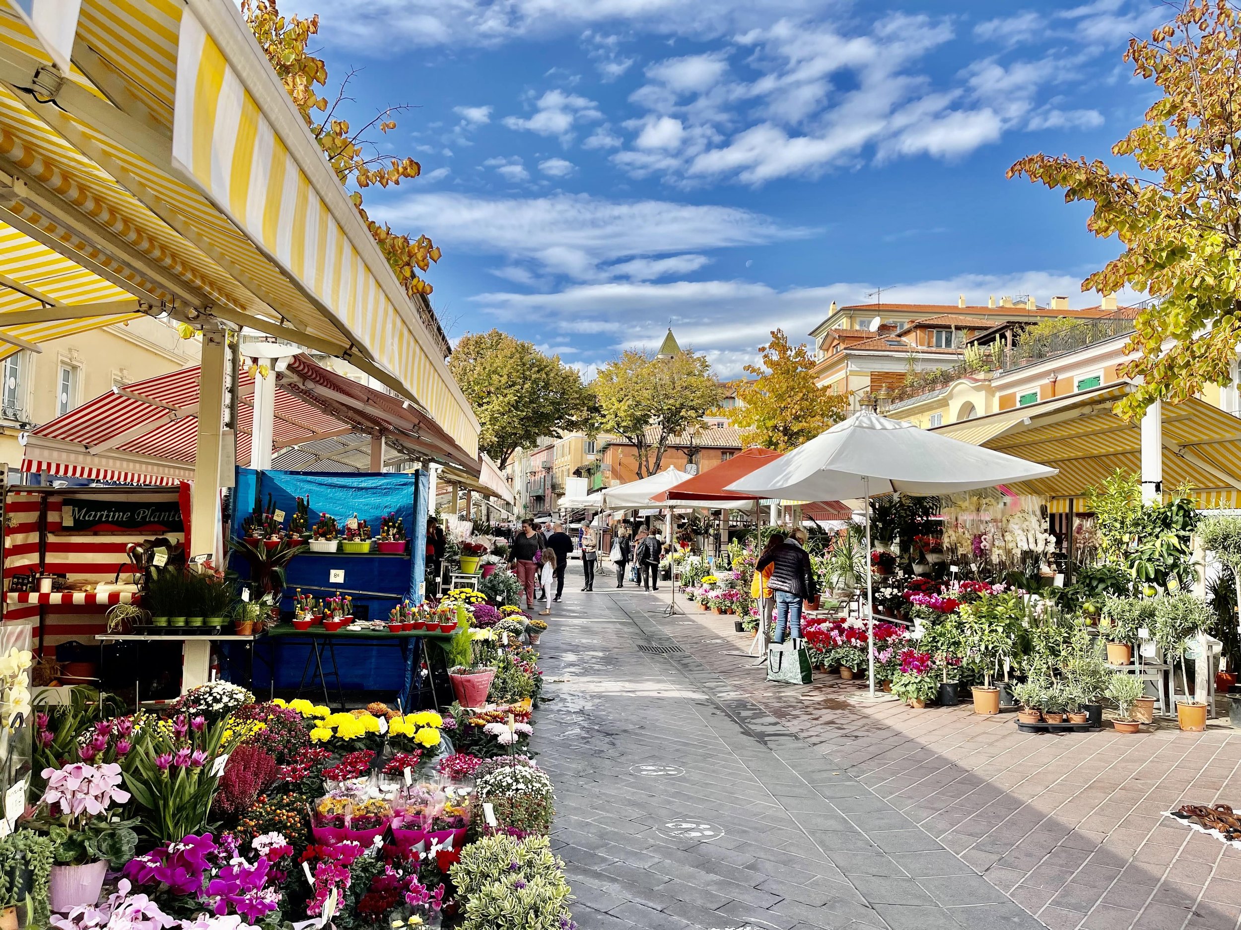 살레야 코스 Cours Saleya