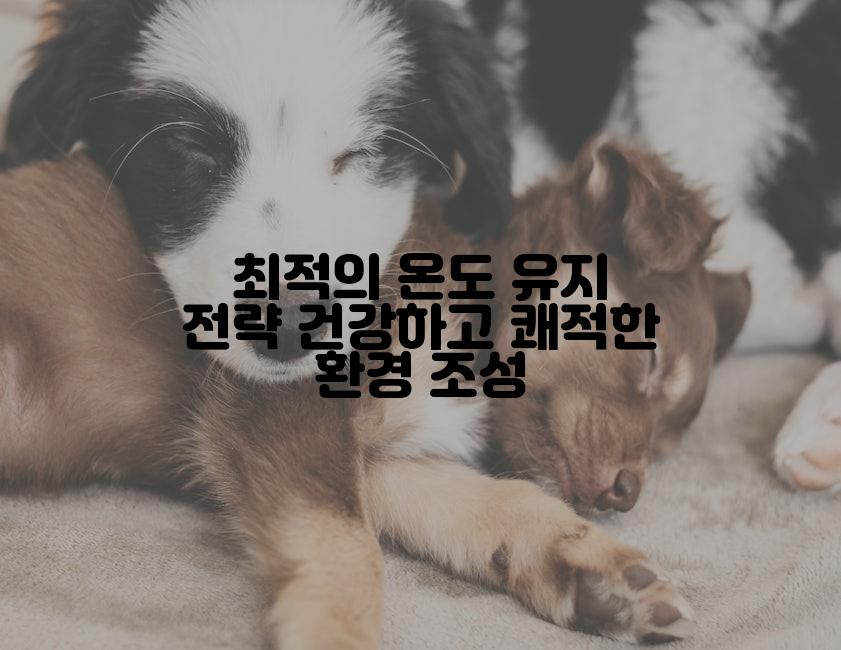 최적의 온도 유지 전략 건강하고 쾌적한 환경 조성