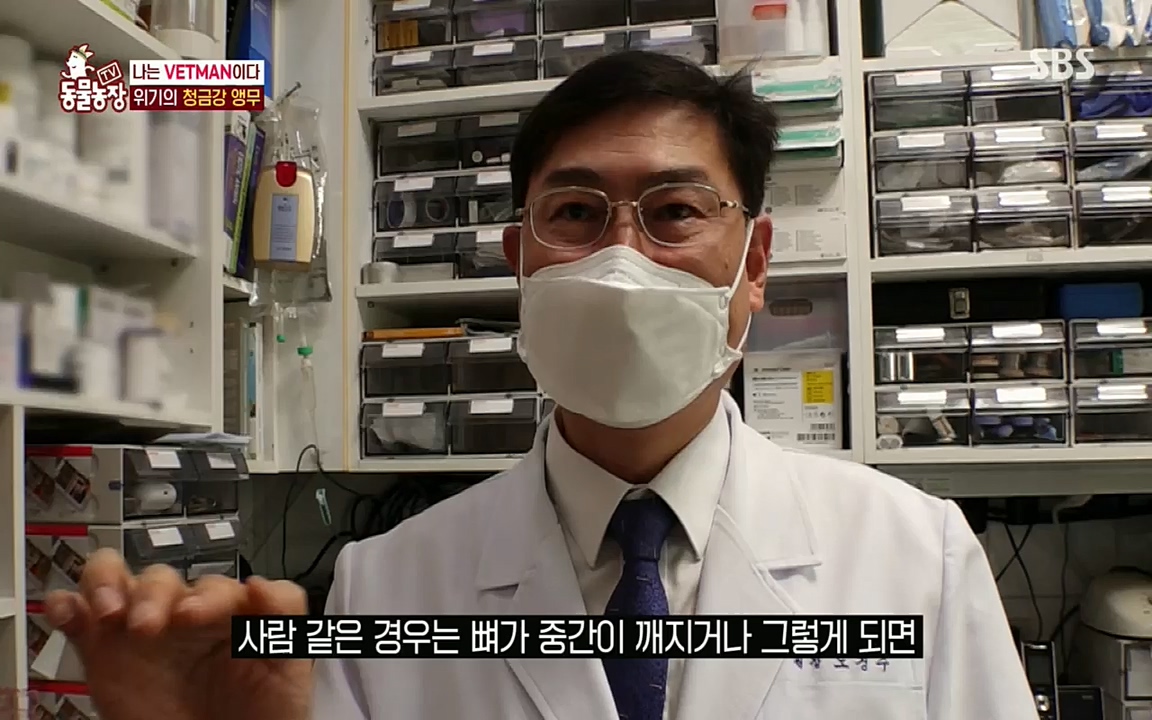 TV 동물농장.E1076.220704p.H264-F1RST.mp4_20220703_175601.105.jpg