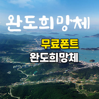 완도스타일 이미지