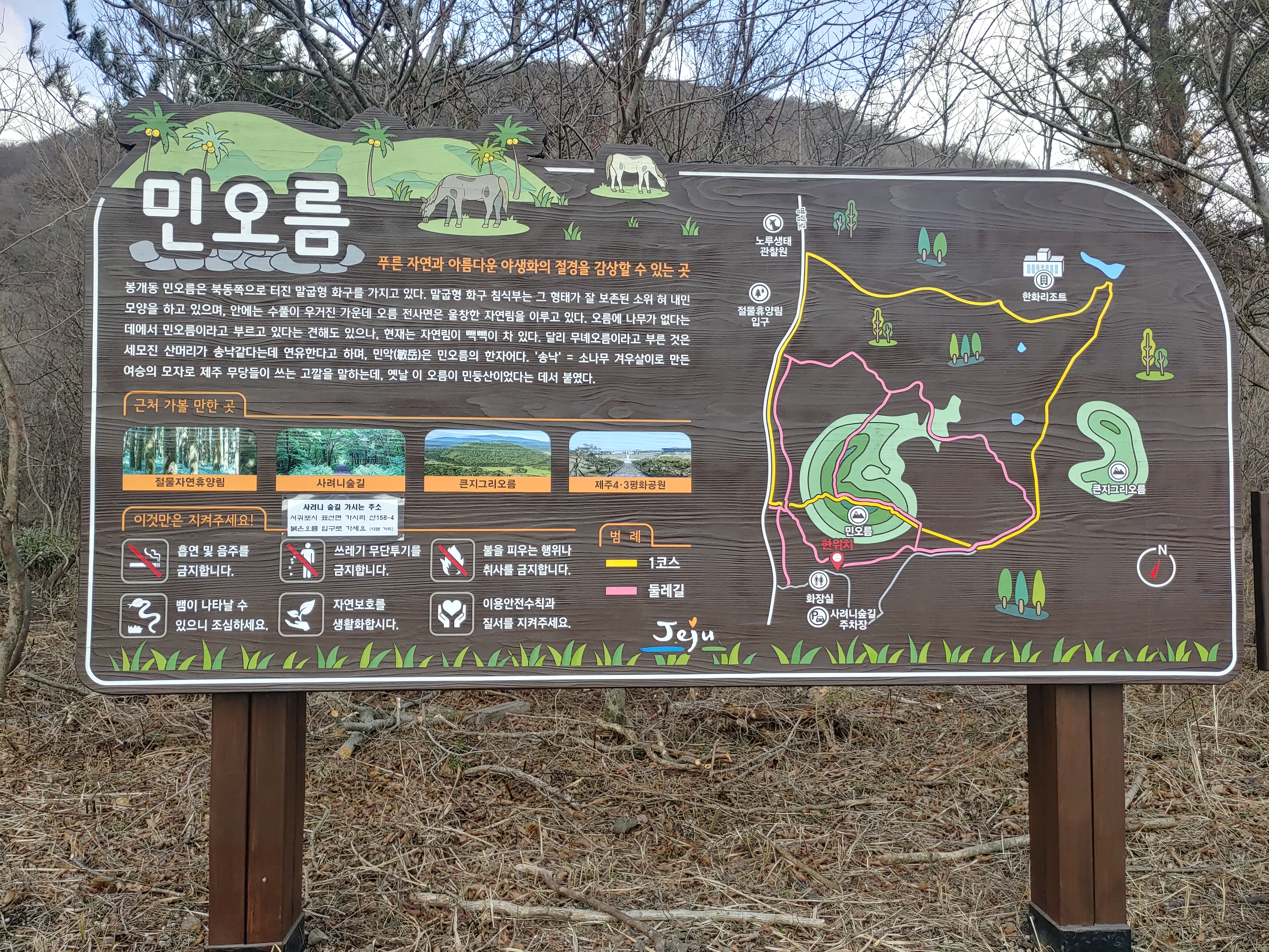 사려니숲길-잘못된-장소2