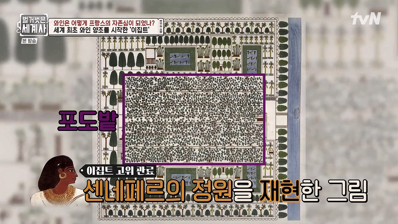 벌거벗은 세계사.E121.231018p-NEXT.mp4_20240518_165511.603.jpg