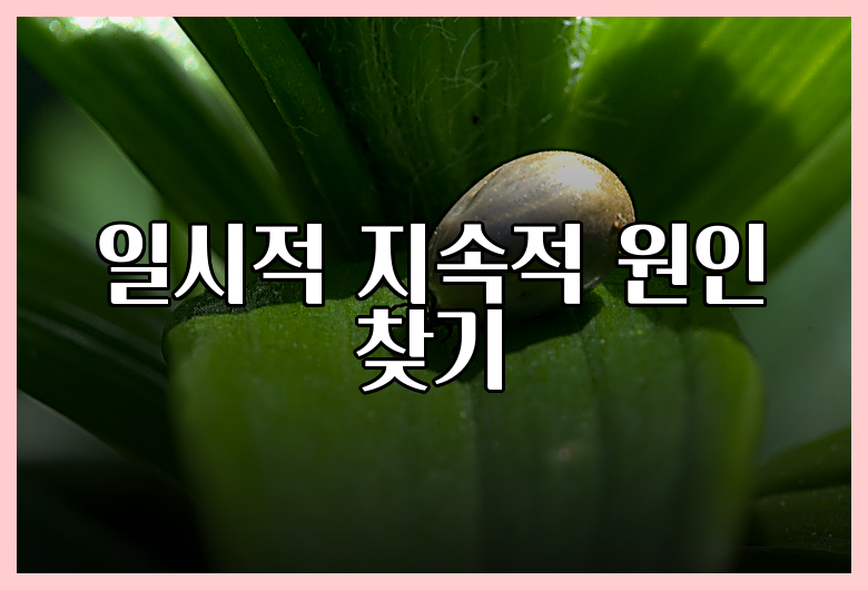 일시적 지속적 원인 찾기