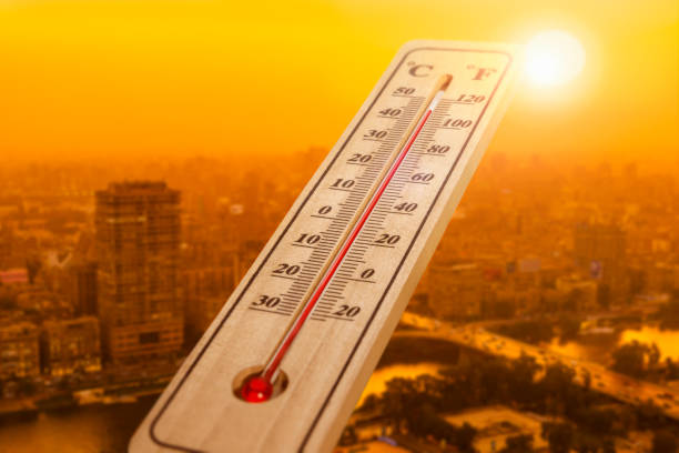  폭염 발생 원인과 대처 방법