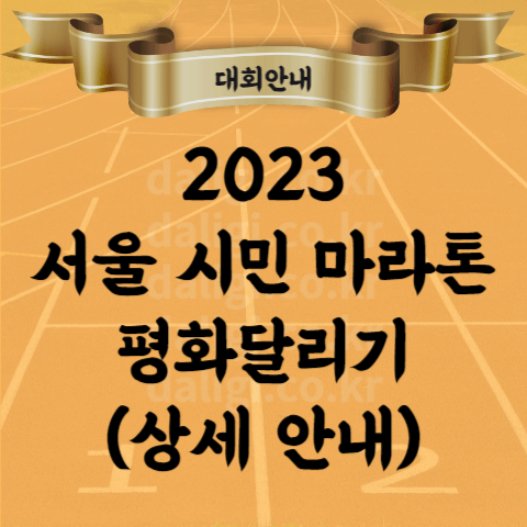 제6회 서울평양 평화마라톤대회 코스 기념품 시상 참가비 등