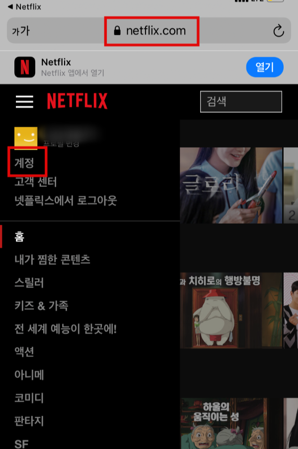 Netflix - 홈페이지 - 입력
