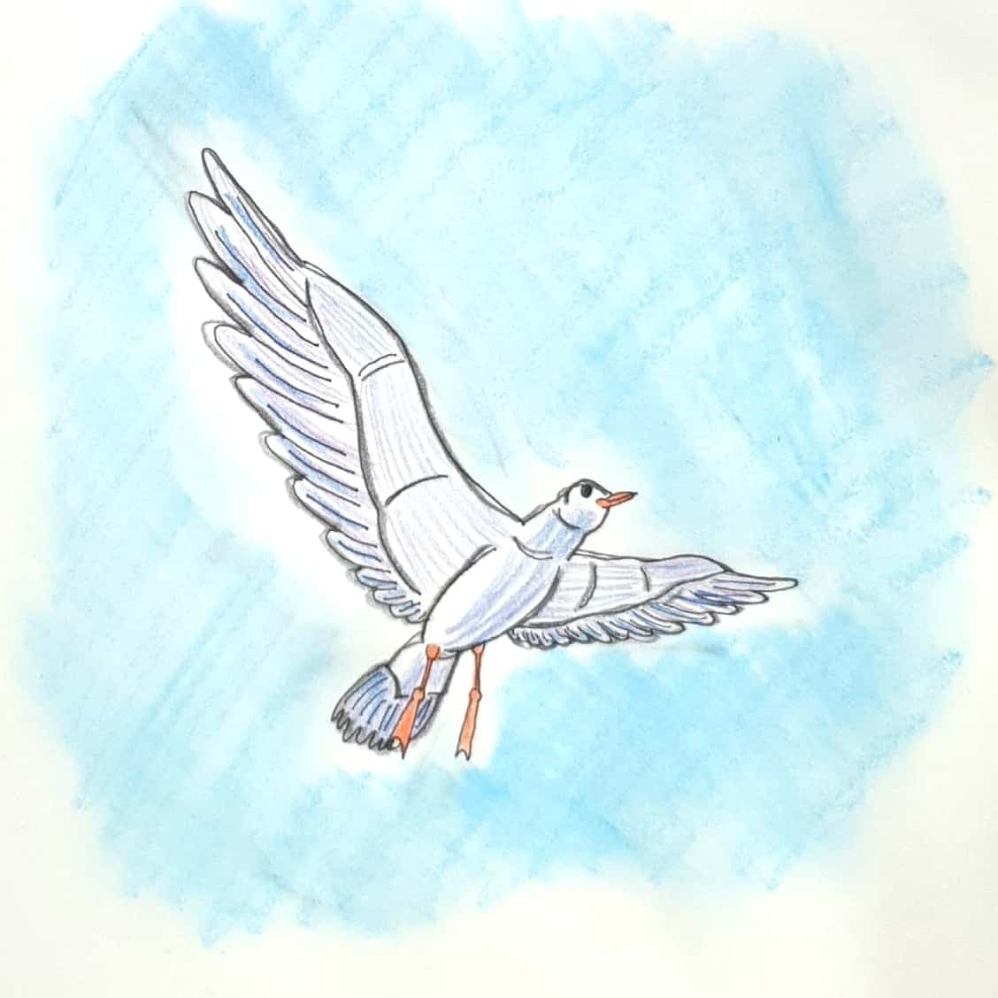  Fly 날다 / 일러스트 그림 드로잉 / 동물화 그리기