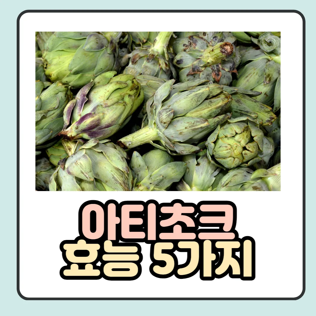  아티초크 효능, 부작용, 섭취 시 주의사항 등 자세히 알아보기!