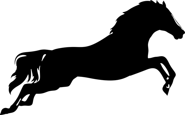 말 관련 일러스트