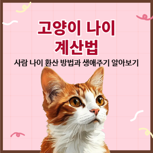 고양이 나이 계산법