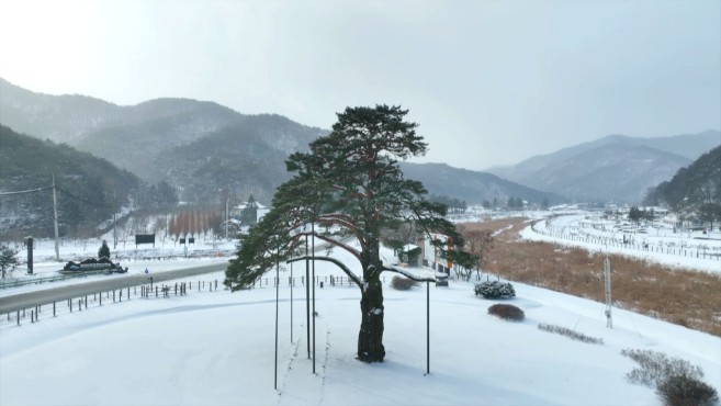 보은 올갱이해장국