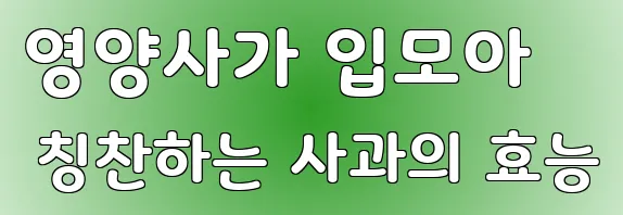 영양사가 입모아 칭찬하는 사과의 효능