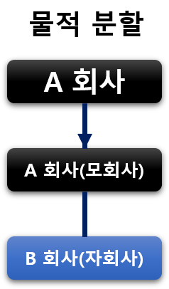 물적 분할 설명 다이어그램