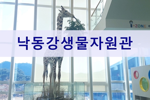  상주 국립낙동강생물자원관 방문