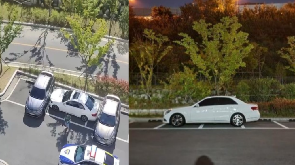  '가로 주차만 하는 벤츠' 모든 주민인 합세해 참교육 ....한 후기
