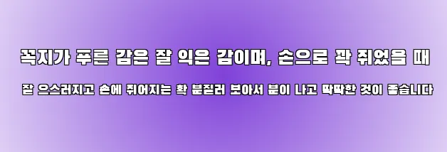  꼭지가 푸른 감은 잘 익은 감이며, 손으로 꽉 쥐었을 때 잘 으스러지고 손에 쥐어지는 확 분질러 보아서 분이 나고 딱딱한 것이 좋습니다