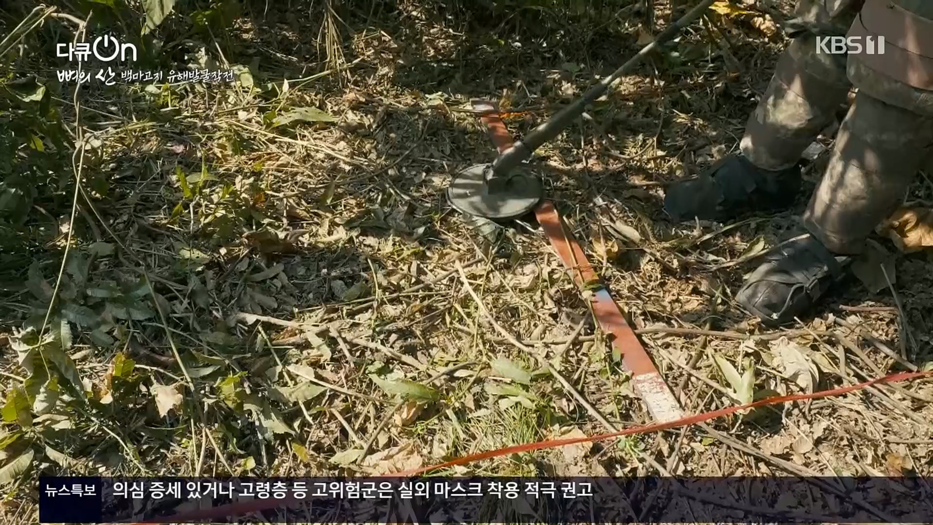 다큐 On.E163.221016p.H264-F1RST.mp4_20221018_185840.764.jpg