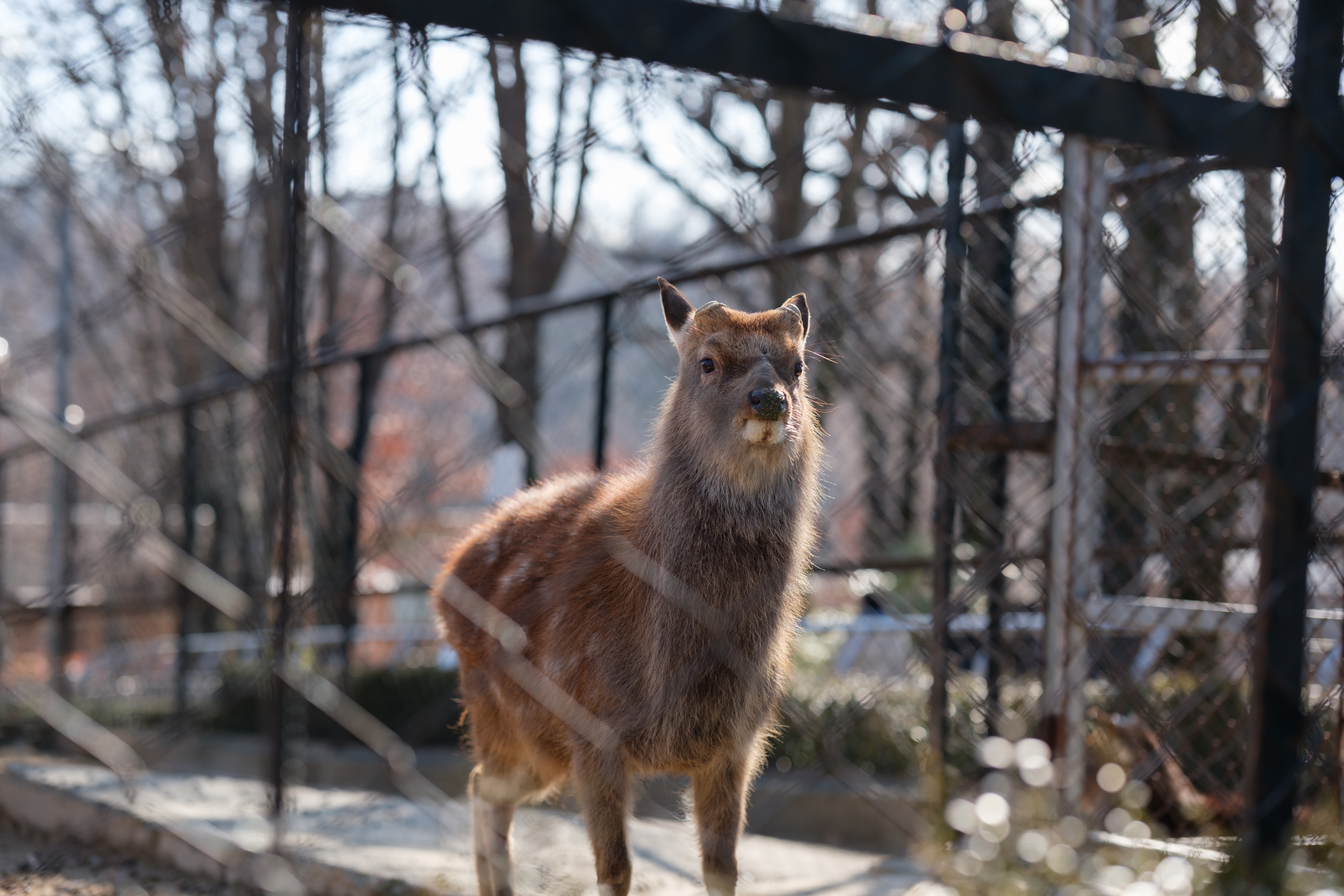 전주 1박 2일 여행 전주동물원