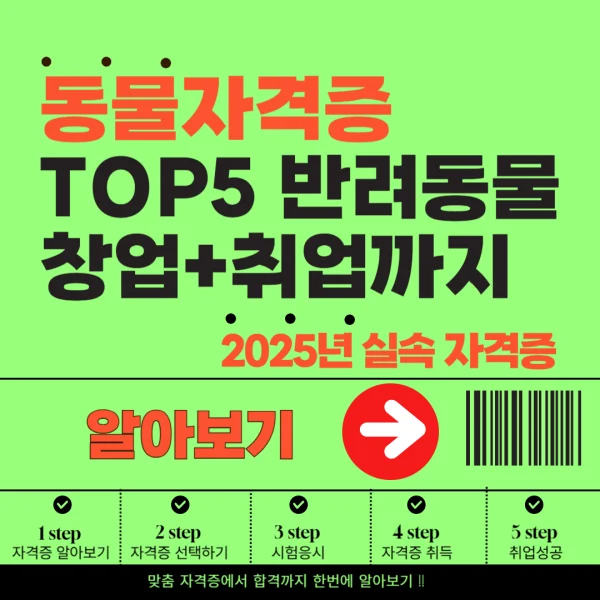 2025년 동물자격증 TOP5｜반려동물·창업·취업