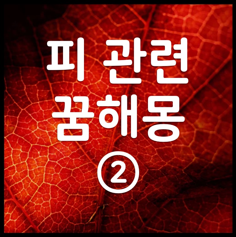 꿈해몽] 피꿈 / 피에 관한 꿈 / 피보는 꿈해몽 행운번호 ②